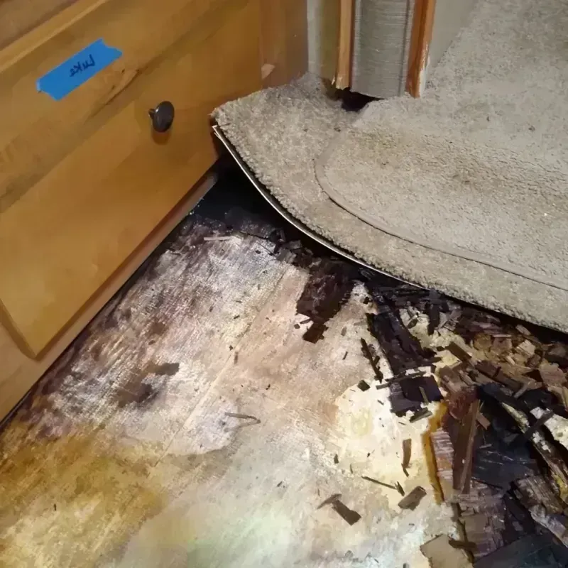 Wood Floor Water Damage in Terre Haute, IN